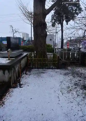 相模原氷川神社の自然