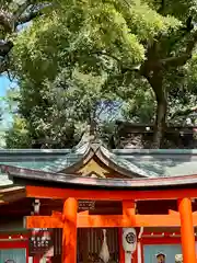 杭全神社(大阪府)