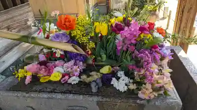 勝林寺(京都府)