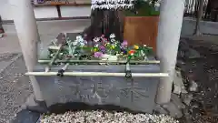 上目黒氷川神社の手水