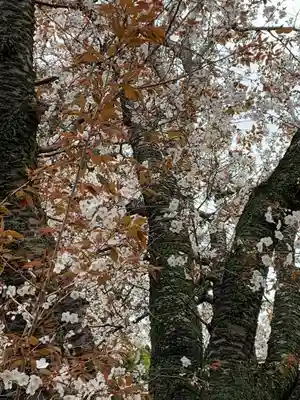 素鵞神社の自然