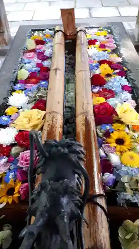 札幌護國神社の手水舎