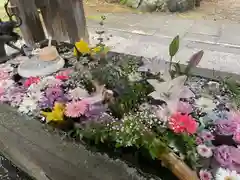 札幌護國神社の手水