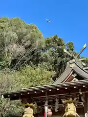 恩智神社(大阪府)