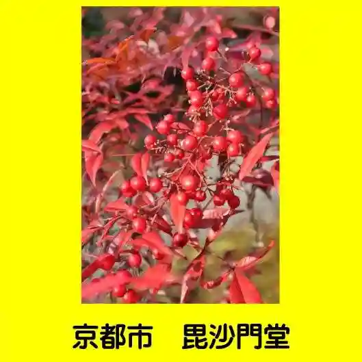 毘沙門堂門跡(京都府)