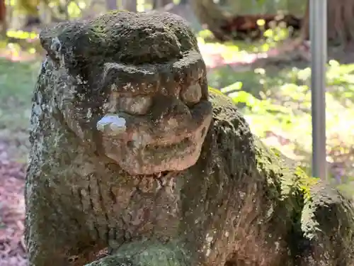 白河神社の狛犬