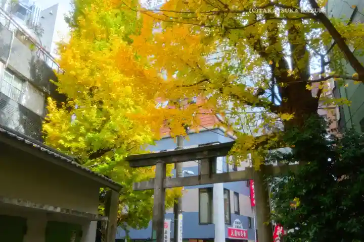 銀杏岡八幡神社(東京都)