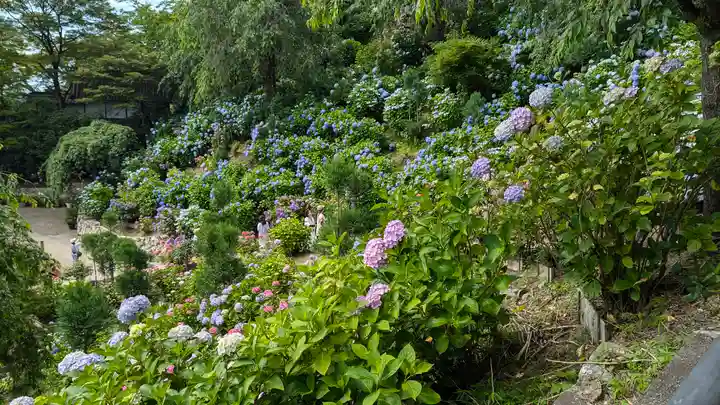 善峯寺(京都府)