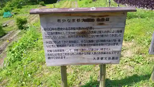 寂光院(京都府)