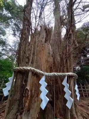大國魂神社(東京都)