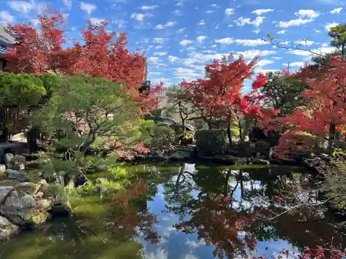 神光院の庭園