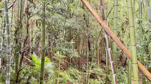 相馬中村神社(福島県)