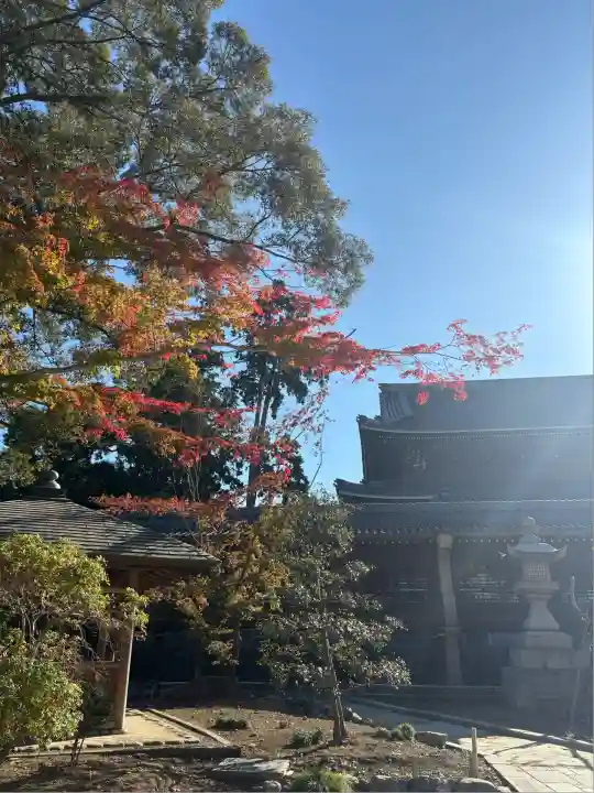 豊川閣 妙厳寺(愛知県)