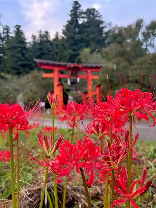 蚊里田八幡宮(長野県)