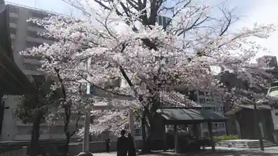 熊野神社のその他建物