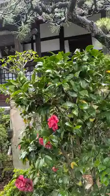 眞如寺(大阪府)