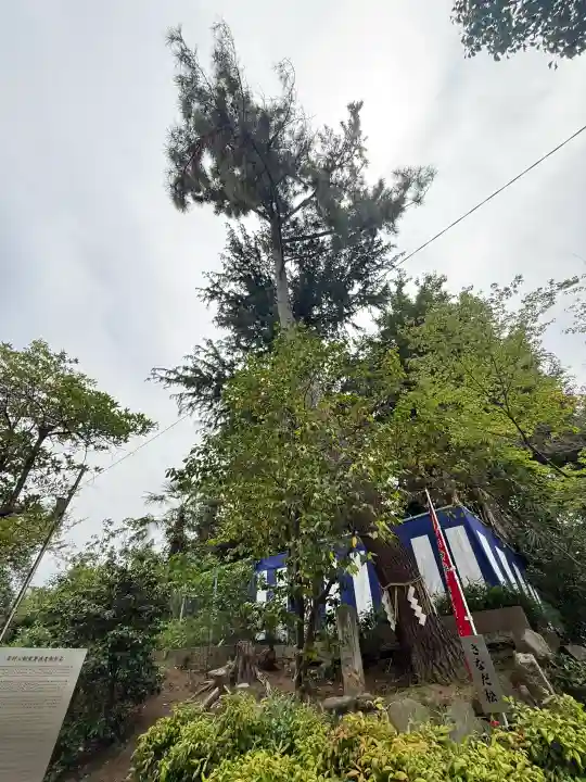 安居神社(大阪府)