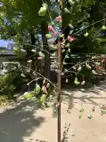 現人神社の{uncategorized: "未分類", other: "その他", undefined: "問題あり", building: "その他建物", grave: "お墓", sacred_gate: "鳥居", guardian: "狛犬", statue: "像", buddha: "仏像", history: "歴史", nature: "自然", garden: "庭園", animal: "動物", pagoda: "塔", temizu: "手水舎", mountain_gate: "山門・神門", sanctuary: "本殿・本堂", subordinate: "末社・摂社", art: "芸術", scenery: "景色", jizo: "地蔵", ema: "絵馬", goshuin: "御朱印", omikuji: "おみくじ", items: "授与品その他", amulet: "お守り", goshuincho: "御朱印帳", eats: "食事", festival: "お祭り", votive_dance: "神楽", shichigosan: "七五三参", wedding: "結婚式", experience: "体験その他", initially: "初詣", around: "周辺", anti_infection: "感染症対策"}