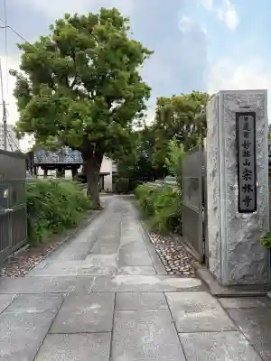 宗林寺(東京都)