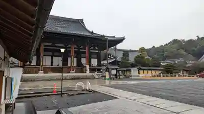 くろ谷 金戒光明寺(京都府)