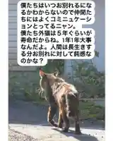 専念寺(大阪府)