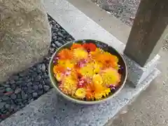 彌都加伎神社の手水