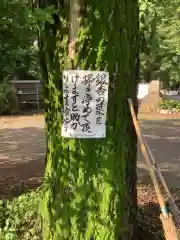 常満寺の建物その他