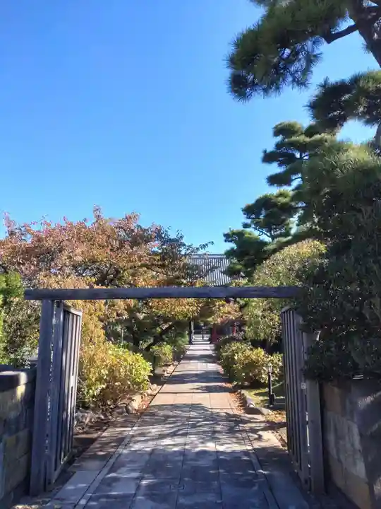 徳願寺(千葉県)