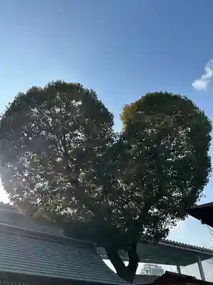 南宮宇佐八幡神社（脇浜神社）(兵庫県)