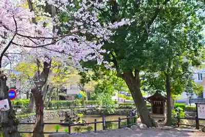師岡熊野神社(神奈川県)