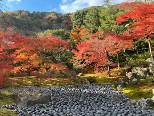 宝厳院(京都府)
