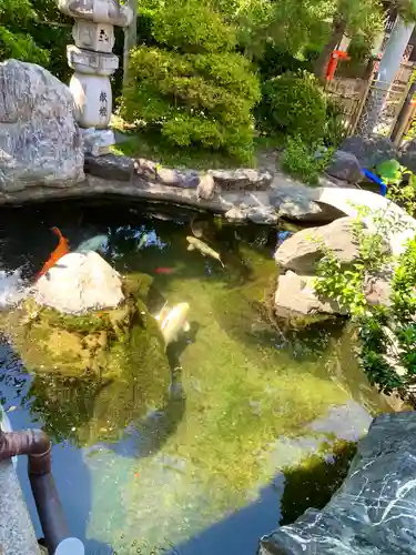 尾張猿田彦神社の庭園