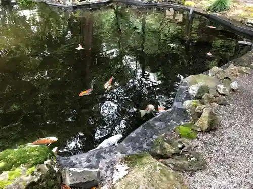 伊豆山神社の庭園