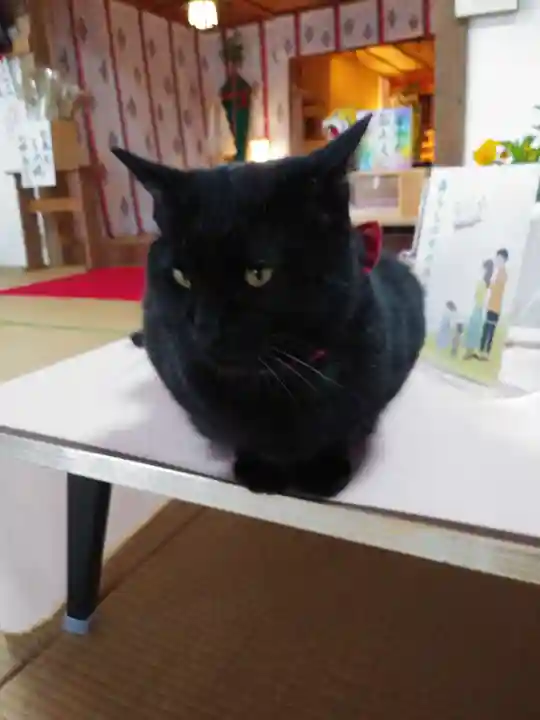 高司神社〜むすびの神の鎮まる社〜(福島県)