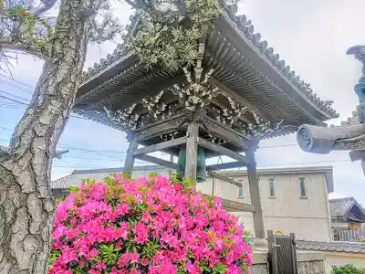 光西寺のその他建物