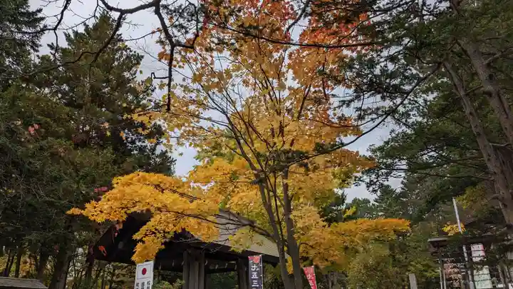 上川神社の自然