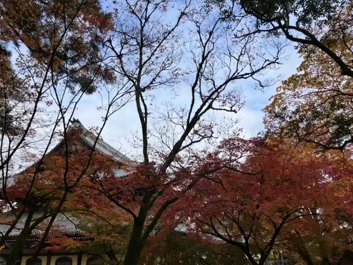 南禅院(京都府)