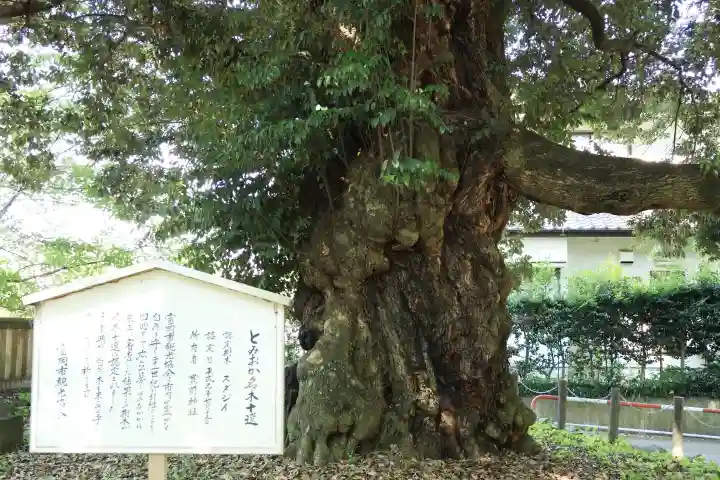 一之宮貫前神社(群馬県)
