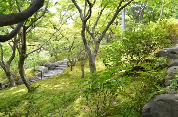 東福禅寺(東福寺)(京都府)