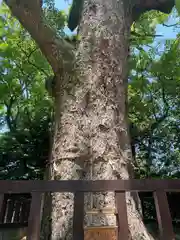 御勢大霊石神社 (福岡県)