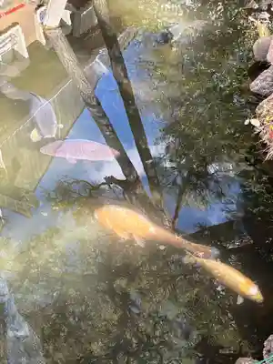 今泉八坂神社(栃木県)