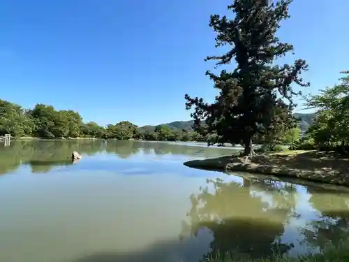 大覚寺(京都府)
