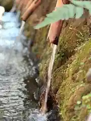 富士山本宮浅間大社(静岡県)