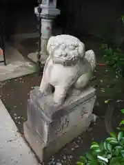 染井稲荷神社の狛犬