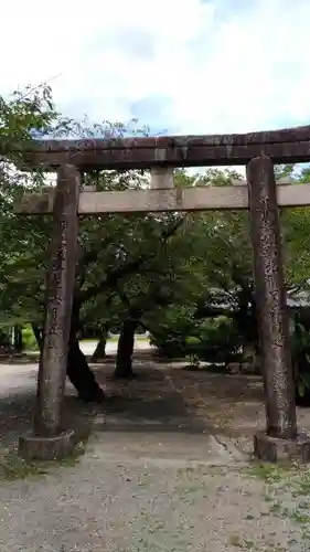 姫路神社の鳥居