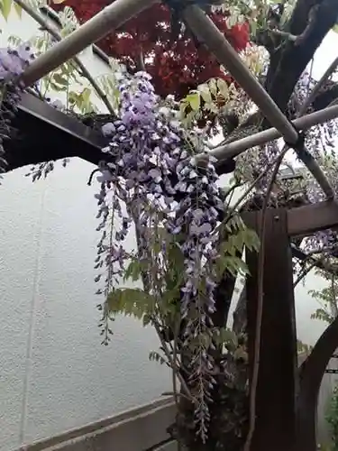 西方山極楽寺の自然