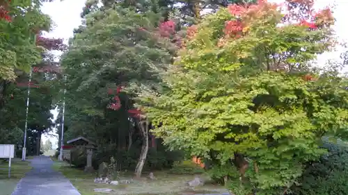 妙高寺の建物その他