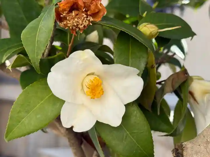 西方山極楽寺(岐阜県)