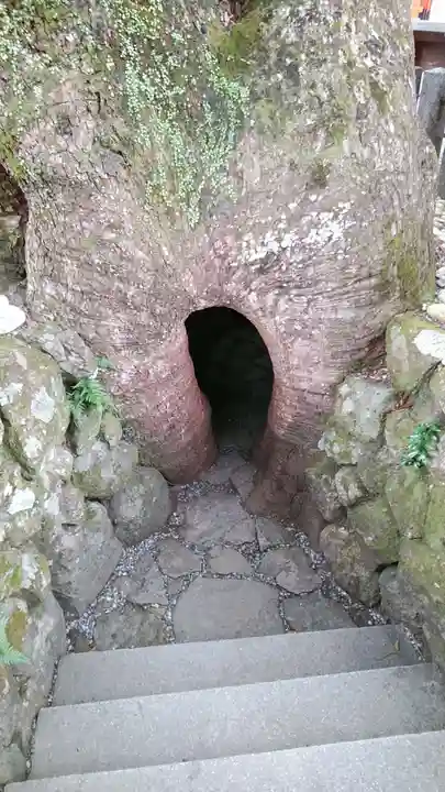 熊野那智大社(和歌山県)