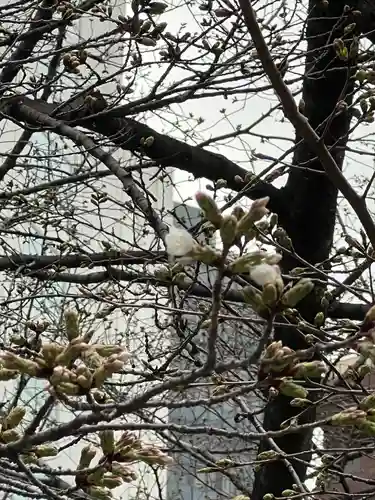 金王八幡宮(東京都)